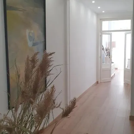 Apartamento Nuevo En Centro *
