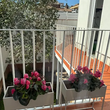 Nuevo En Centro Terrassa